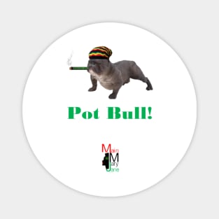 Pot Bull Magnet